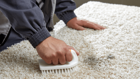 Professional Rug Cleaning Mooroolbark
